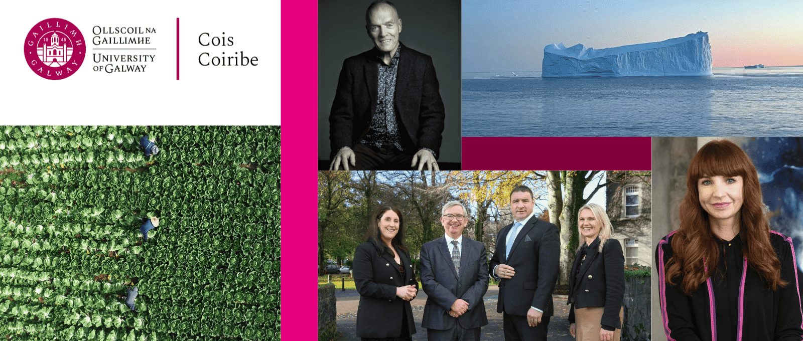 Discover the latest expert insights from our top academics, researchers and alumni